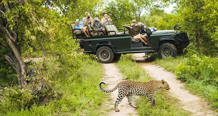Wildlife tour